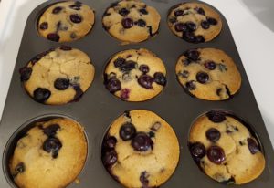 Gluten Free Blueberry Muffin